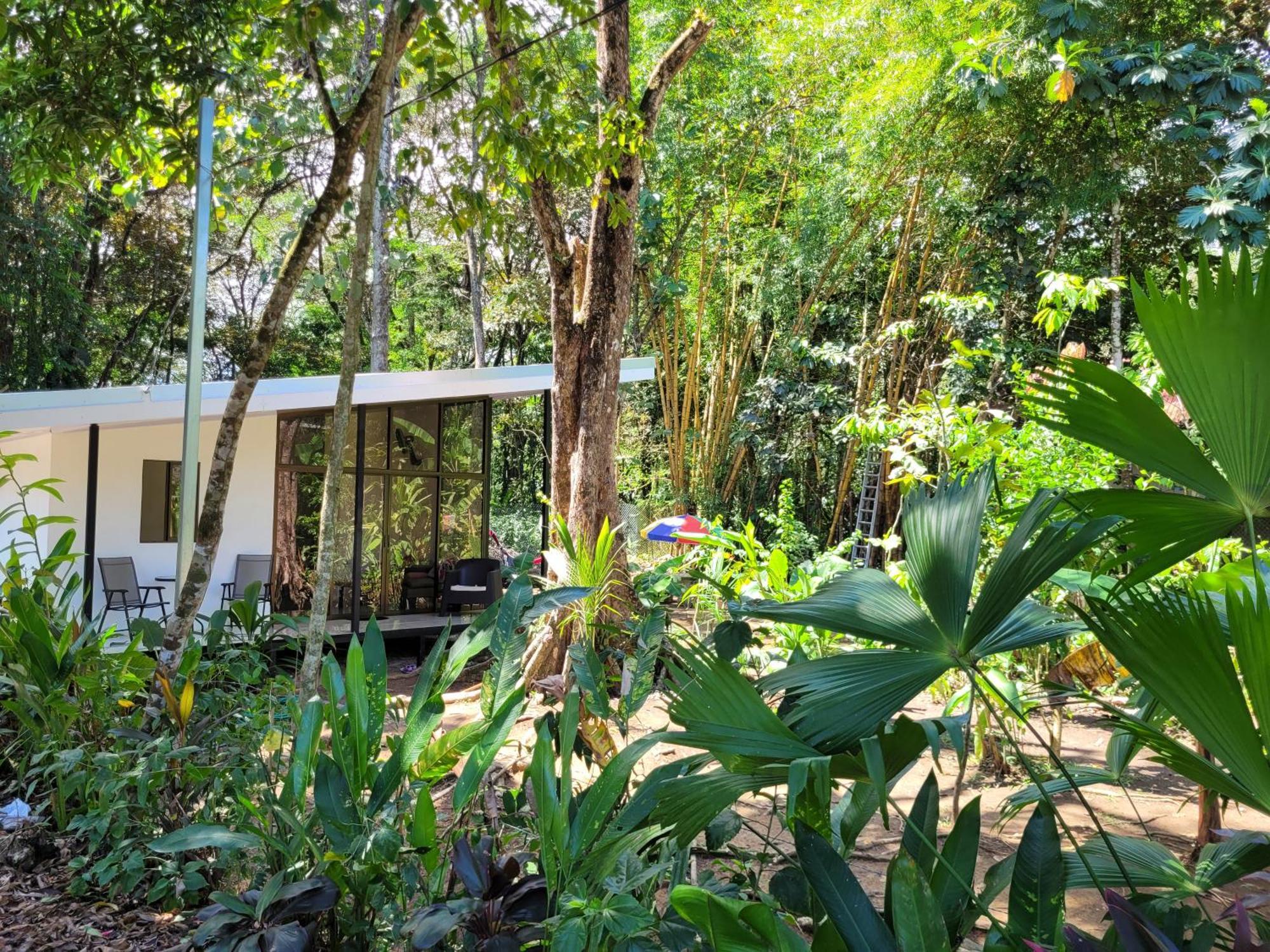 Luba House Vila Puerto Jiménez Exterior foto